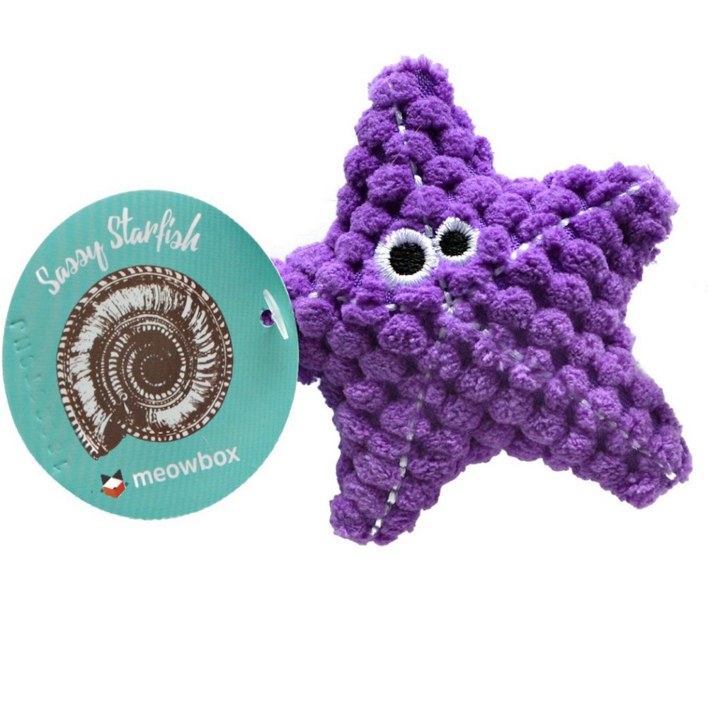 Sassy Starfish